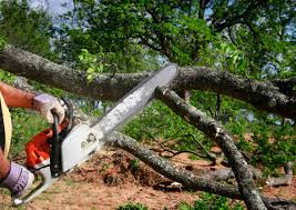 Seasonal Cleanup (Spring/Fall) in Green Meadows, OH